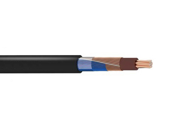 Concentric Service Cable