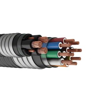 PVC Insulated Copper Tape Screen Control Cable